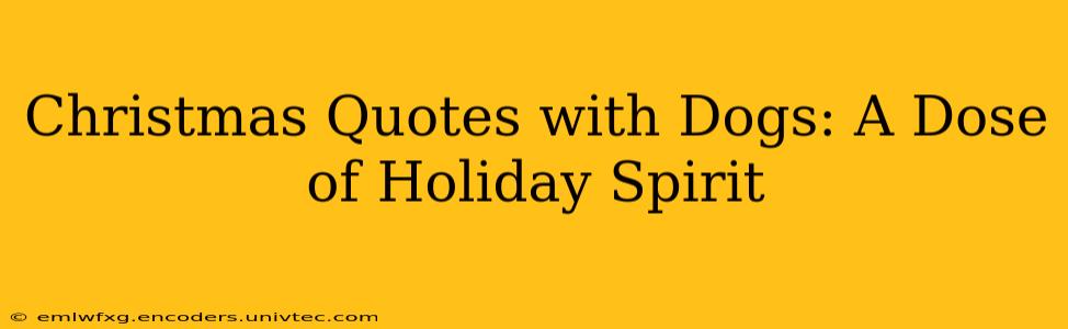 Christmas Quotes with Dogs: A Dose of Holiday Spirit